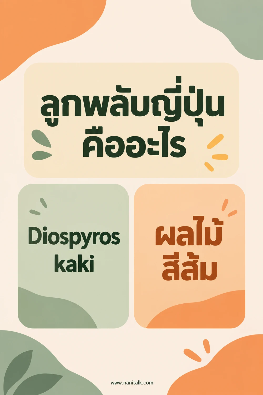 ลูกพลับญี่ปุ่นคืออะไร