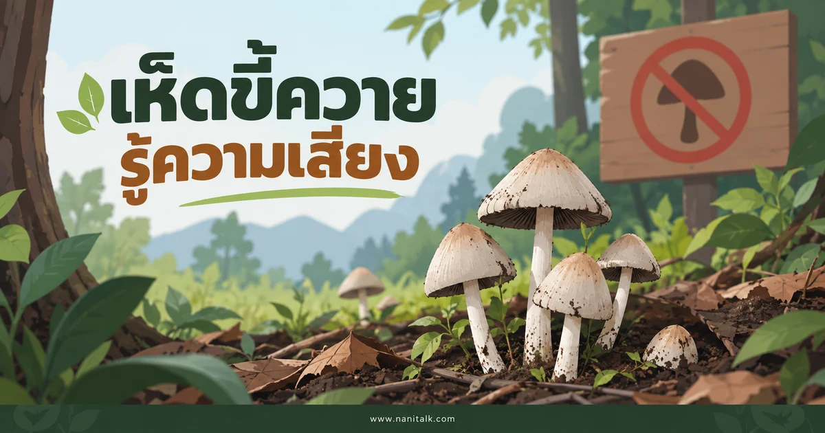 เห็ดขี้ควายและไซโลไซบิน: อาการเสี่ยงและวิธีช่วยเหลือที่ถูกต้อง