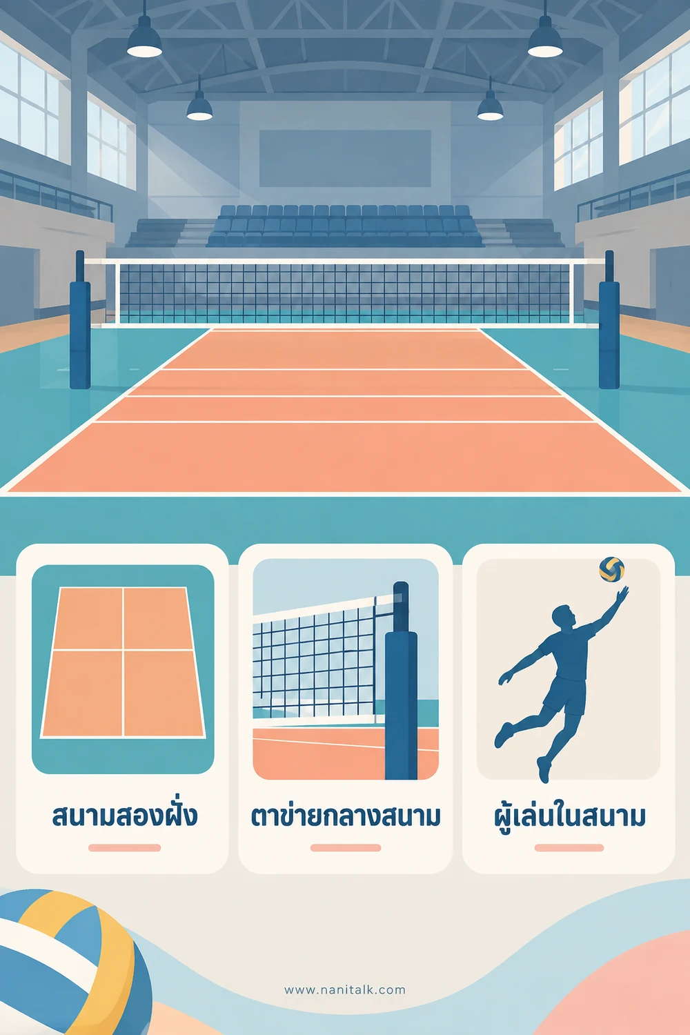 สนาม ตาข่าย และผู้เล่นตามกติกาเป็นอย่างไร