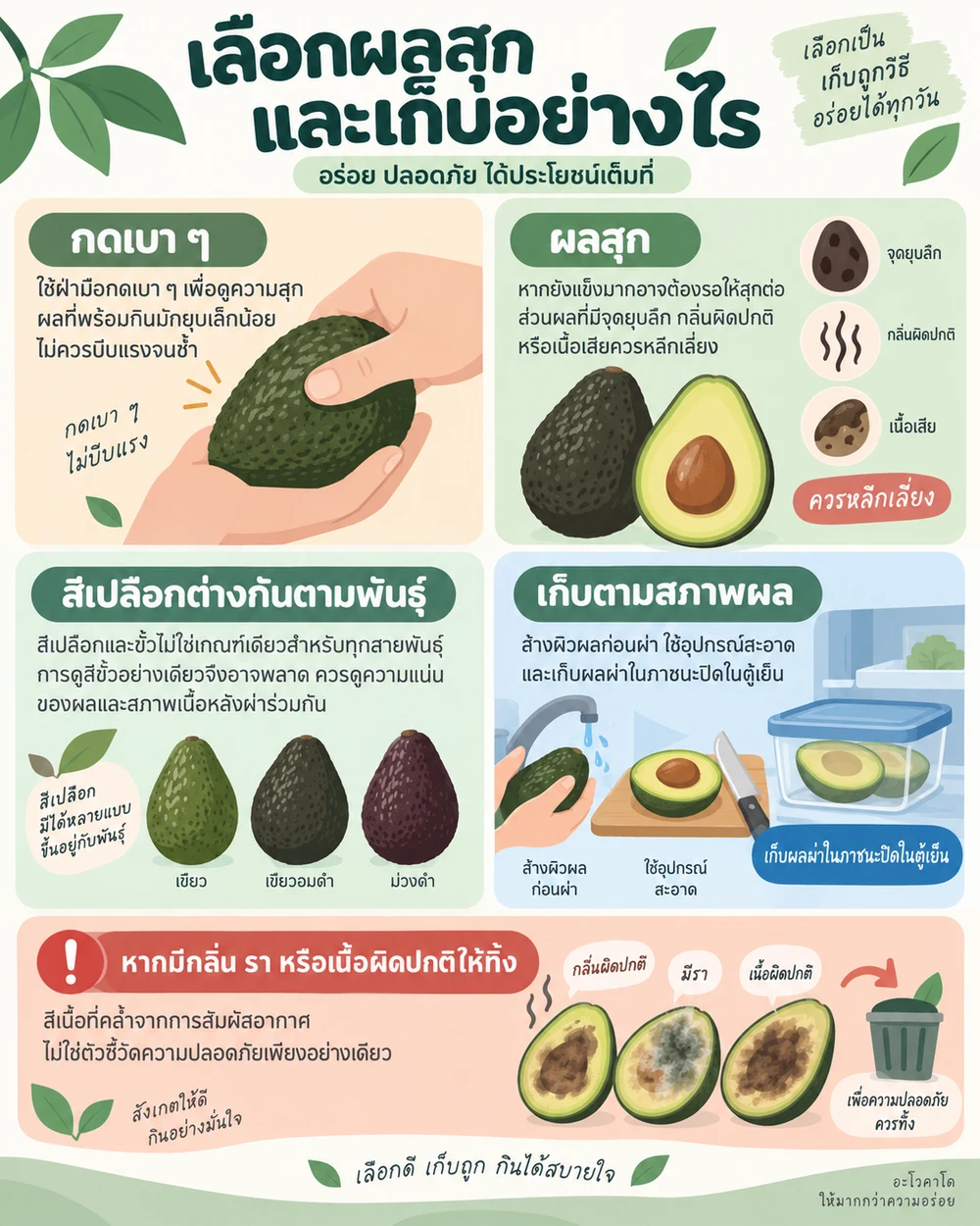 เลือกผลสุกและเก็บอย่างไร