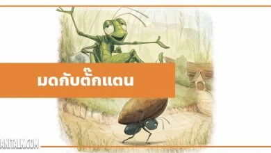 นิทานอีสป : มดกับตั๊กแตน (The Ants & the Grasshopper)